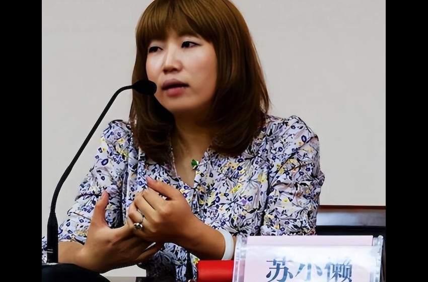 著名作家苏小懒投诉乘务员之后遭网暴！网友要她滚出中国