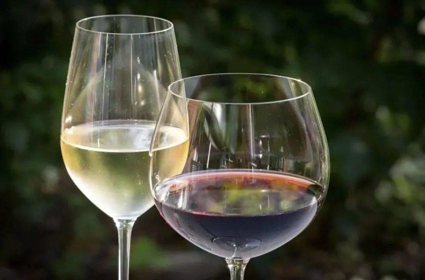 红葡萄酒 VS 白葡萄酒，谁是你的倾心佳酿？