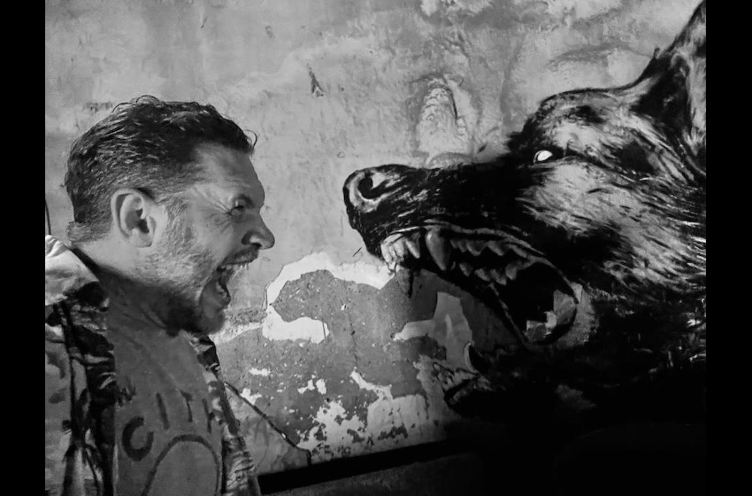 《毒液3》正式定档 汤姆·哈迪回归主演 朱诺·坦普尔新加盟