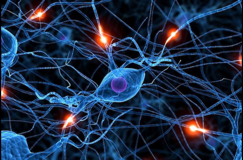 脑机接口重要进展：可从微细血管获得神经信号