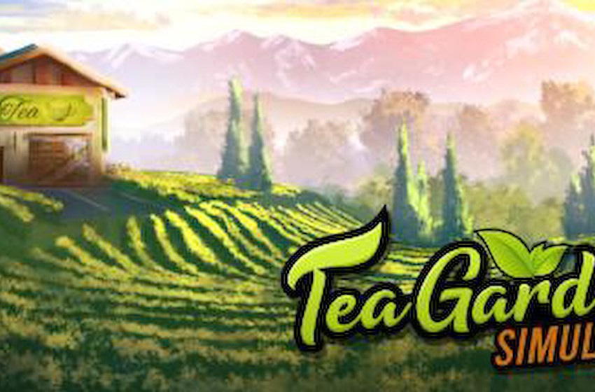 种植经营《茶园模拟器》8月15日steam正式发售