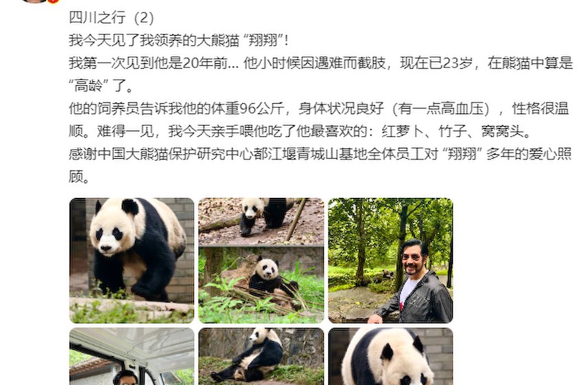 组图：费翔看望自己领养的大熊猫 亲手给翔翔喂红萝卜笑开花