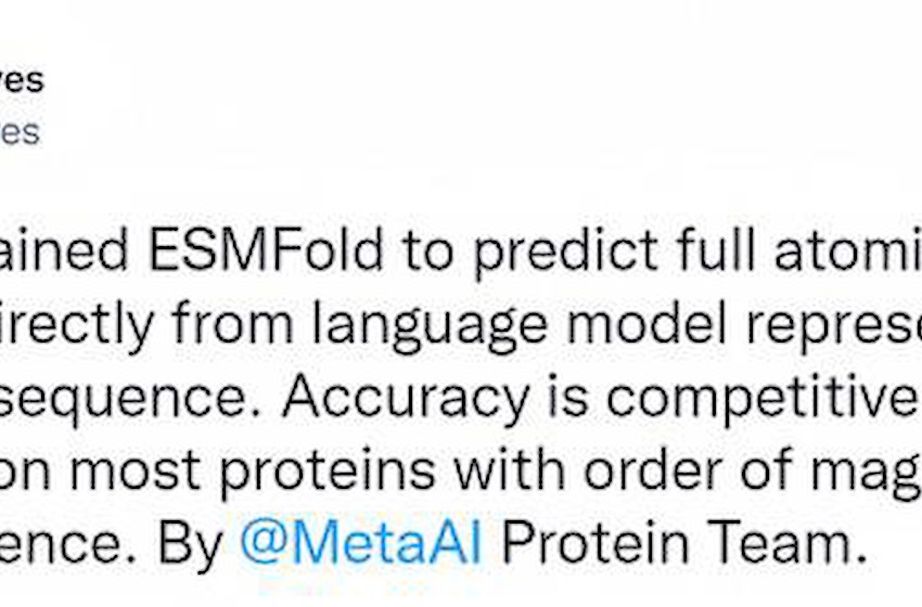 Meta解散蛋白质大模型团队，转向商业化AI，聊天机器人或9月推出
