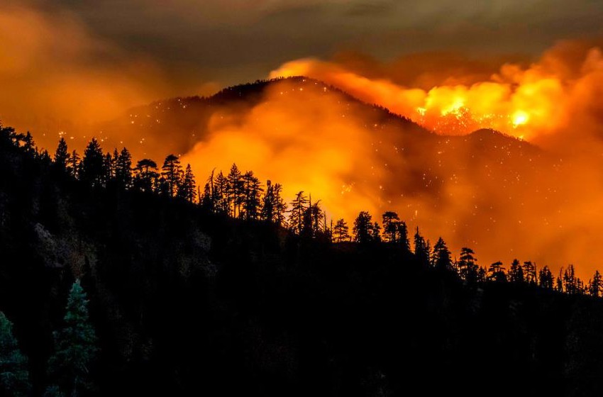 加州用AI监测野火：1032个摄像头联网扫描森林异常