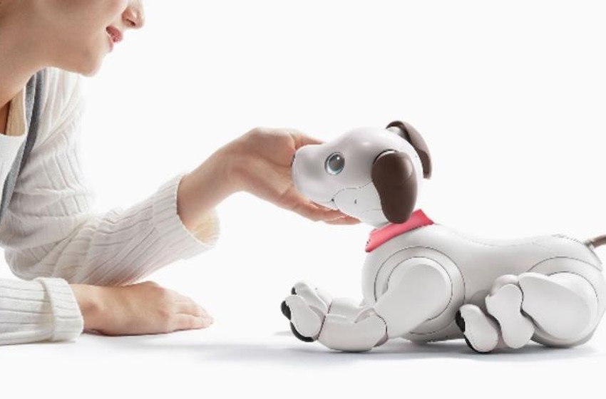 aibo 寻找新家：索尼推出新计划让机器狗继续发挥作用