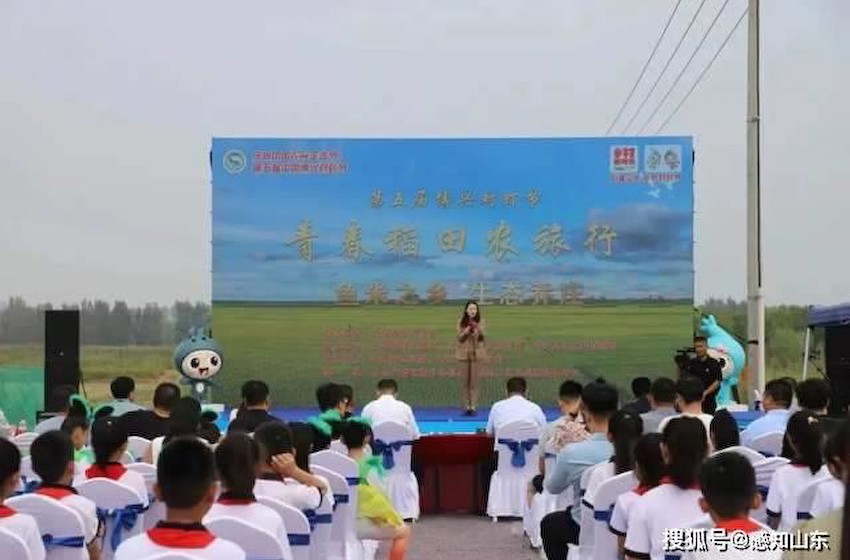 感知山东| 滨州举办青春稻田农旅行活动